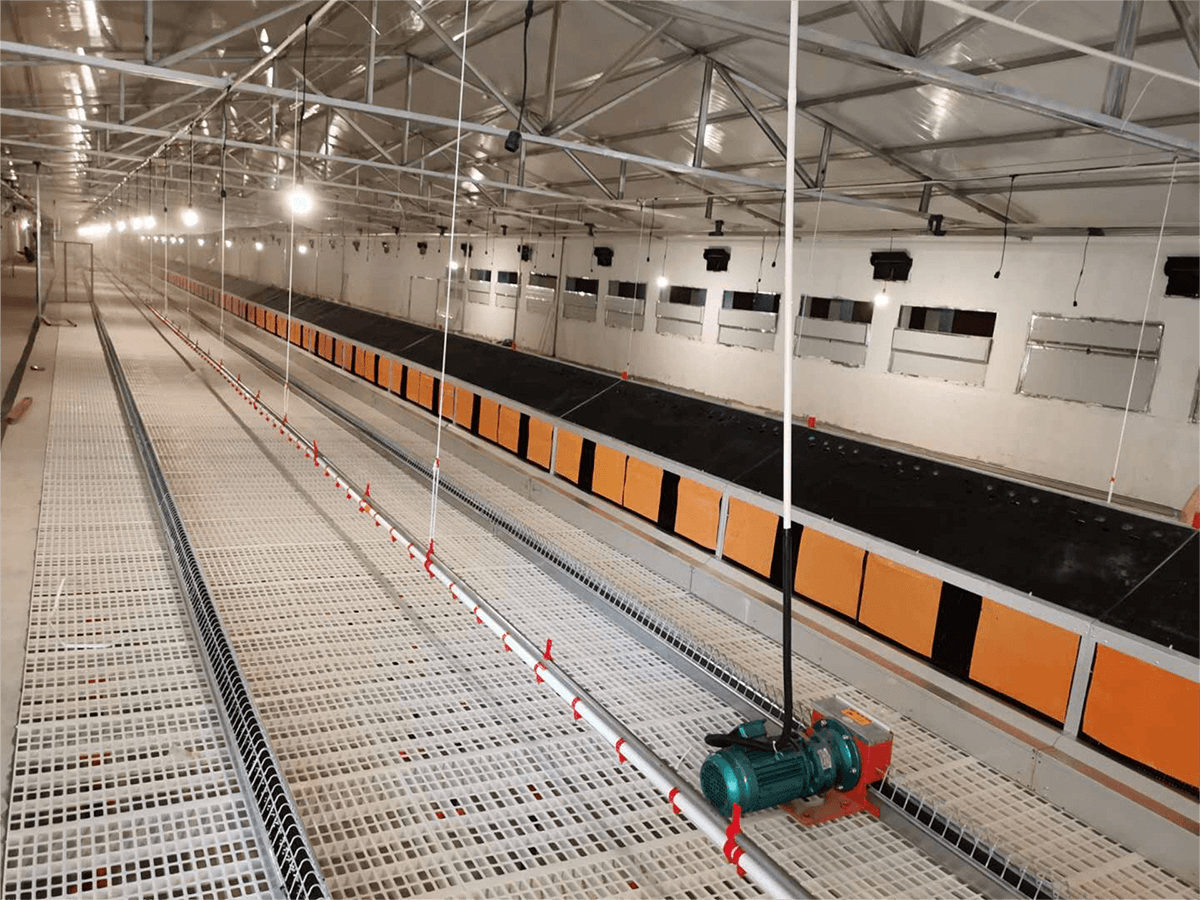 Case of flat rearing equipment in Inner Mongolia on March 14, 2020