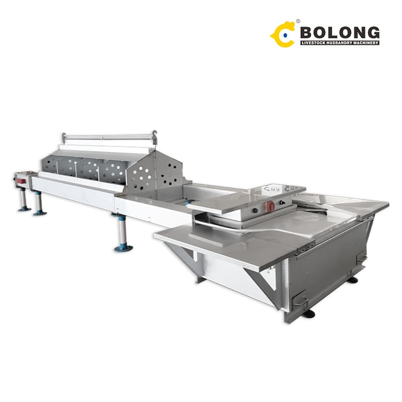 Automatic Egg Collector